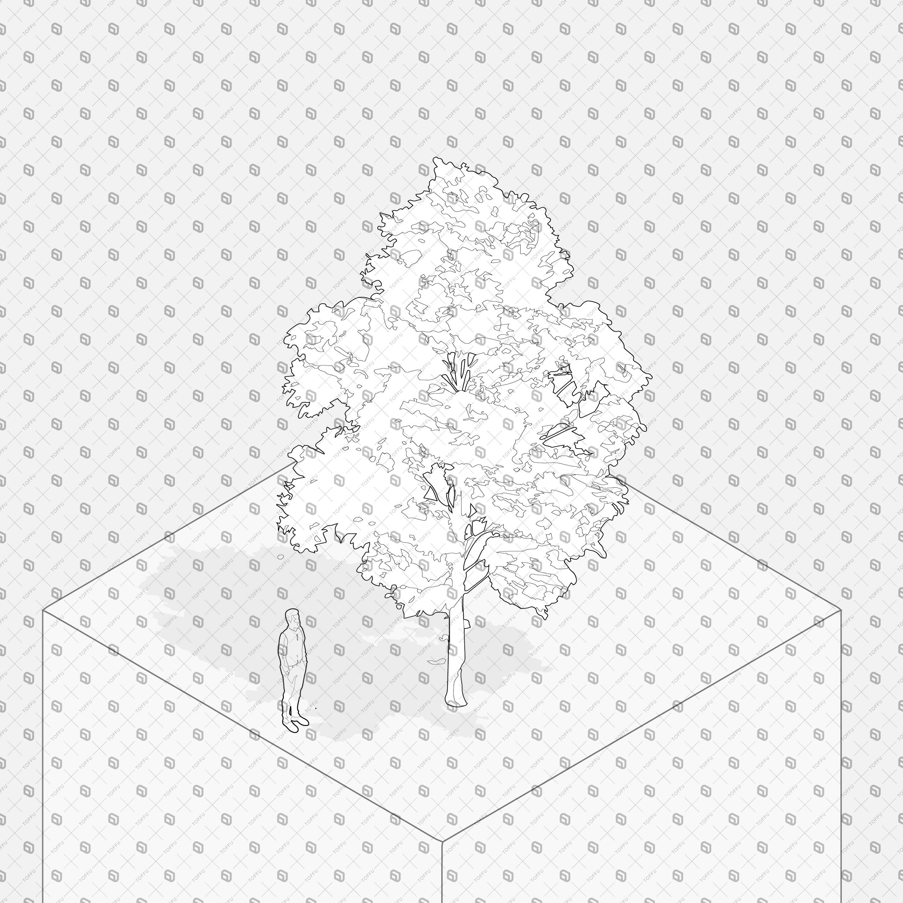 Axonometric Cad Trees with Shadows PNG - Toffu Co