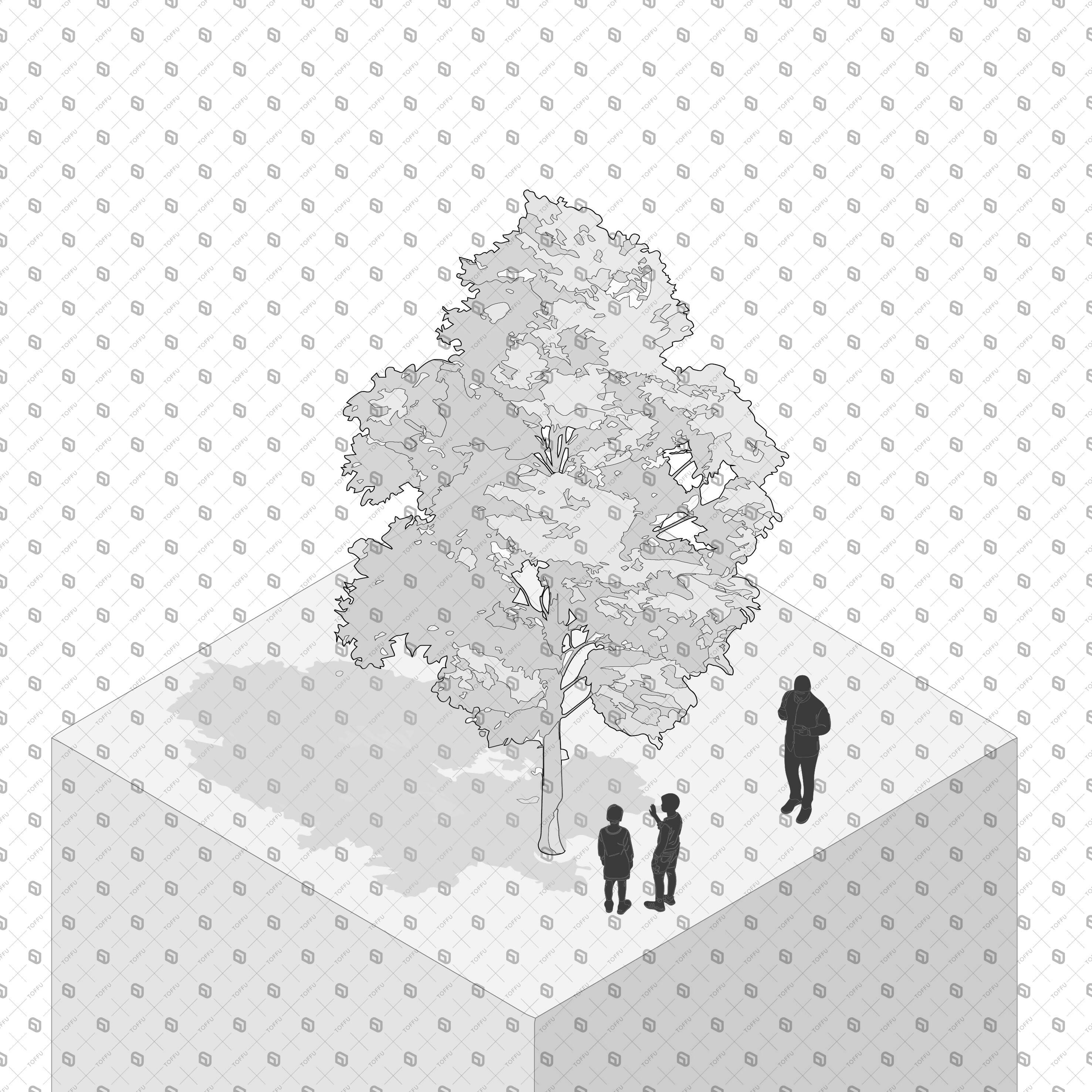 Axonometric Cad Trees with Shadows PNG - Toffu Co