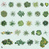Flat Vector Wild Plants Top View Digital Artwork drawings | Toffu Co