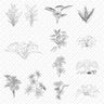 Cad Tropical Vegetation PNG - Toffu Co