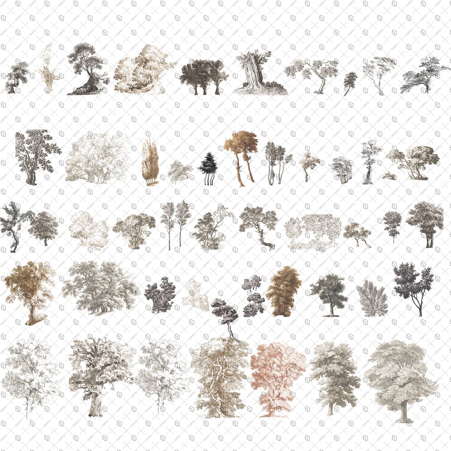 Cutout Trees From Illustration 2 PNG - Toffu Co
