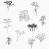 Cad Tropical Trees PNG - Toffu Co
