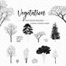 Brush Vegetation Outlined and Silhouette PNG - Toffu Co