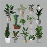 Flat Vector 14 Plants Pack PNG - Toffu Co