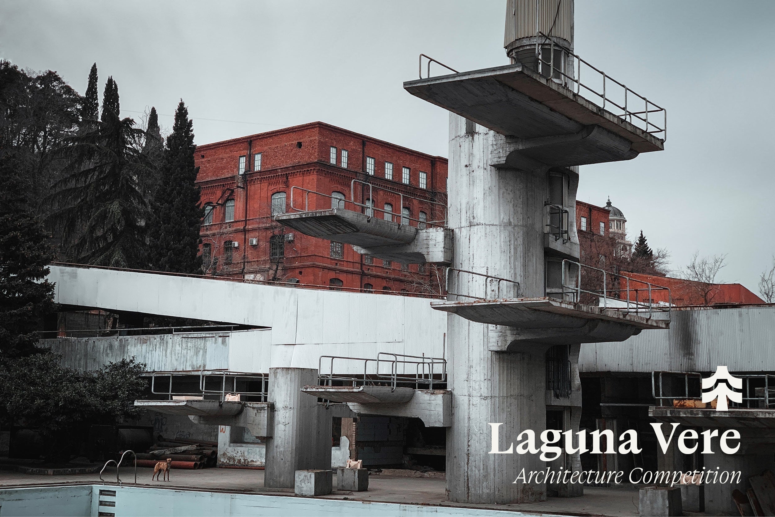 TerraViva Laguna Vere Competition with Special Toffu Discount | Toffu Blog