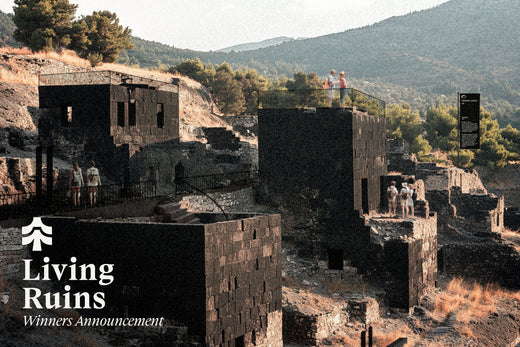 TerraViva Living Ruins Competition Winners