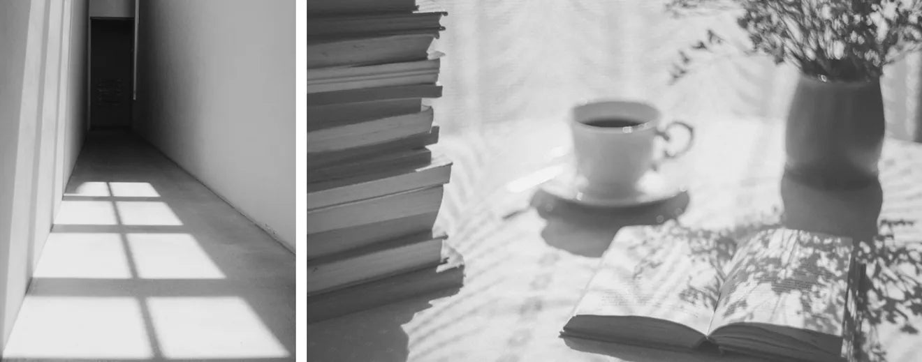 The Home of Shadows Competition | Toffu Blog