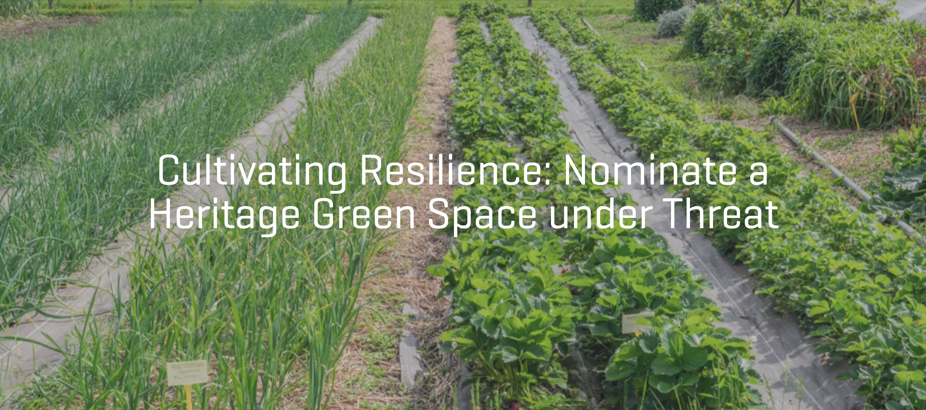 Cultivating Resilience: Nominate a Heritage Green Space Under Threat