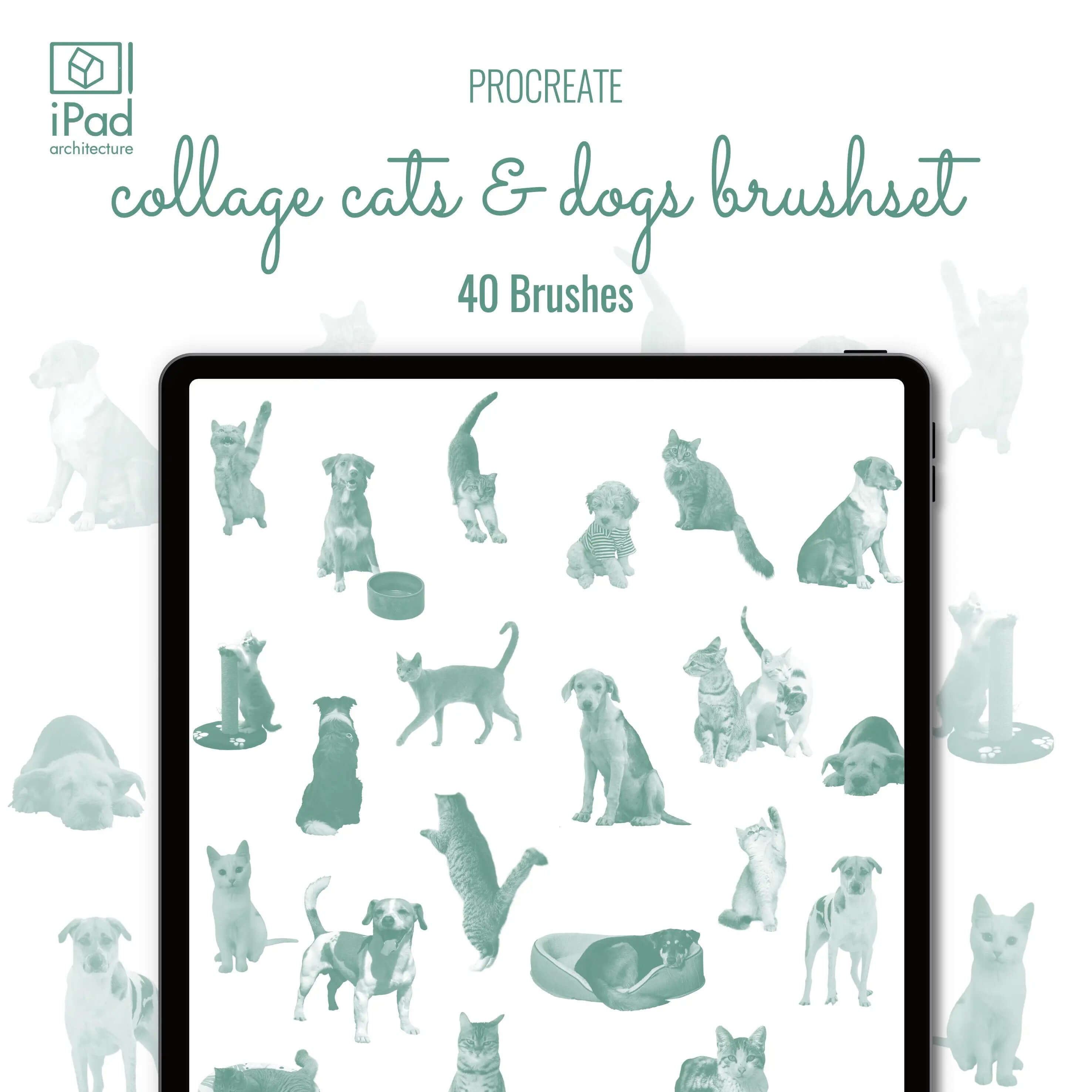 Procreate Collage Cats & Dogs Brushset Digital Artwork drawings | Toffu Co