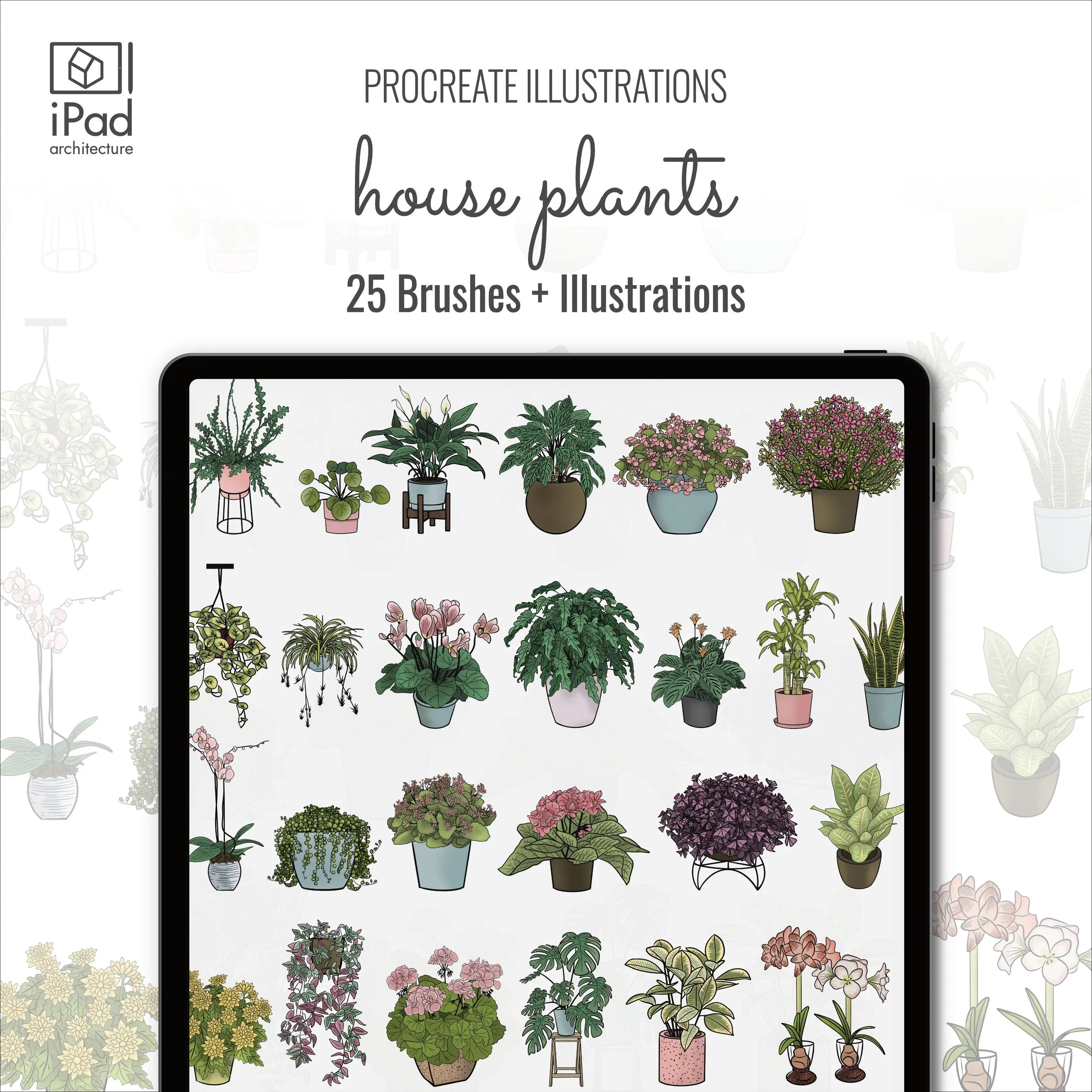 Procreate House Plants Brushset & Illustrations Digital Artwork drawings | Toffu Co