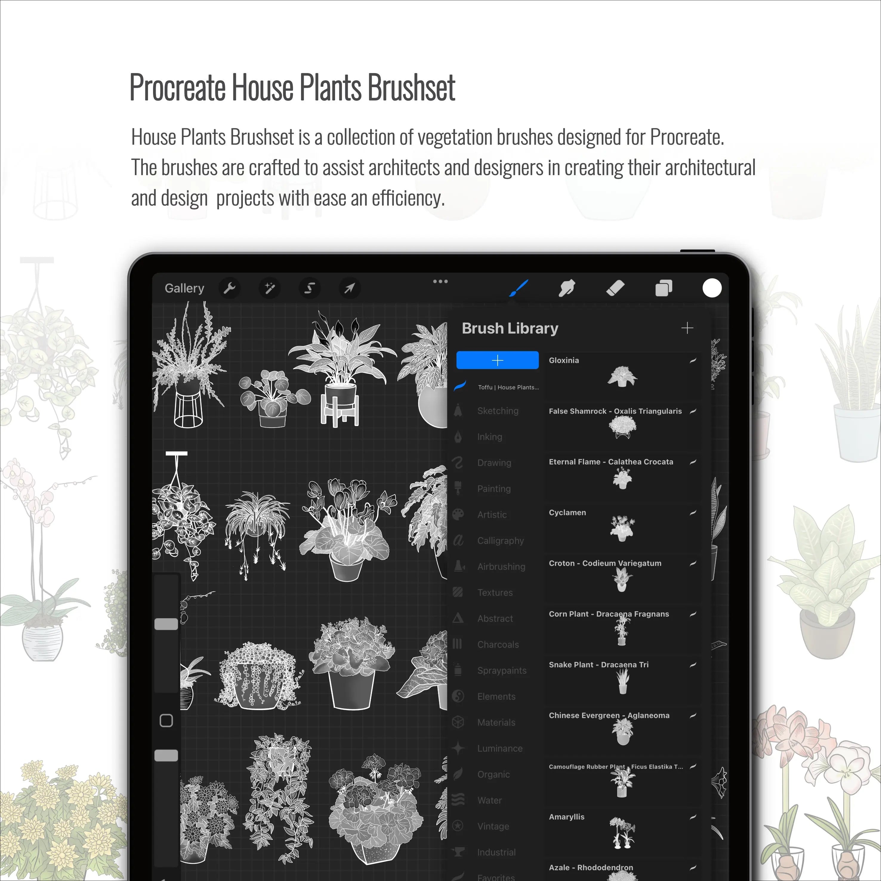Procreate House Plants Brushset & Illustrations Digital Artwork drawings | Toffu Co