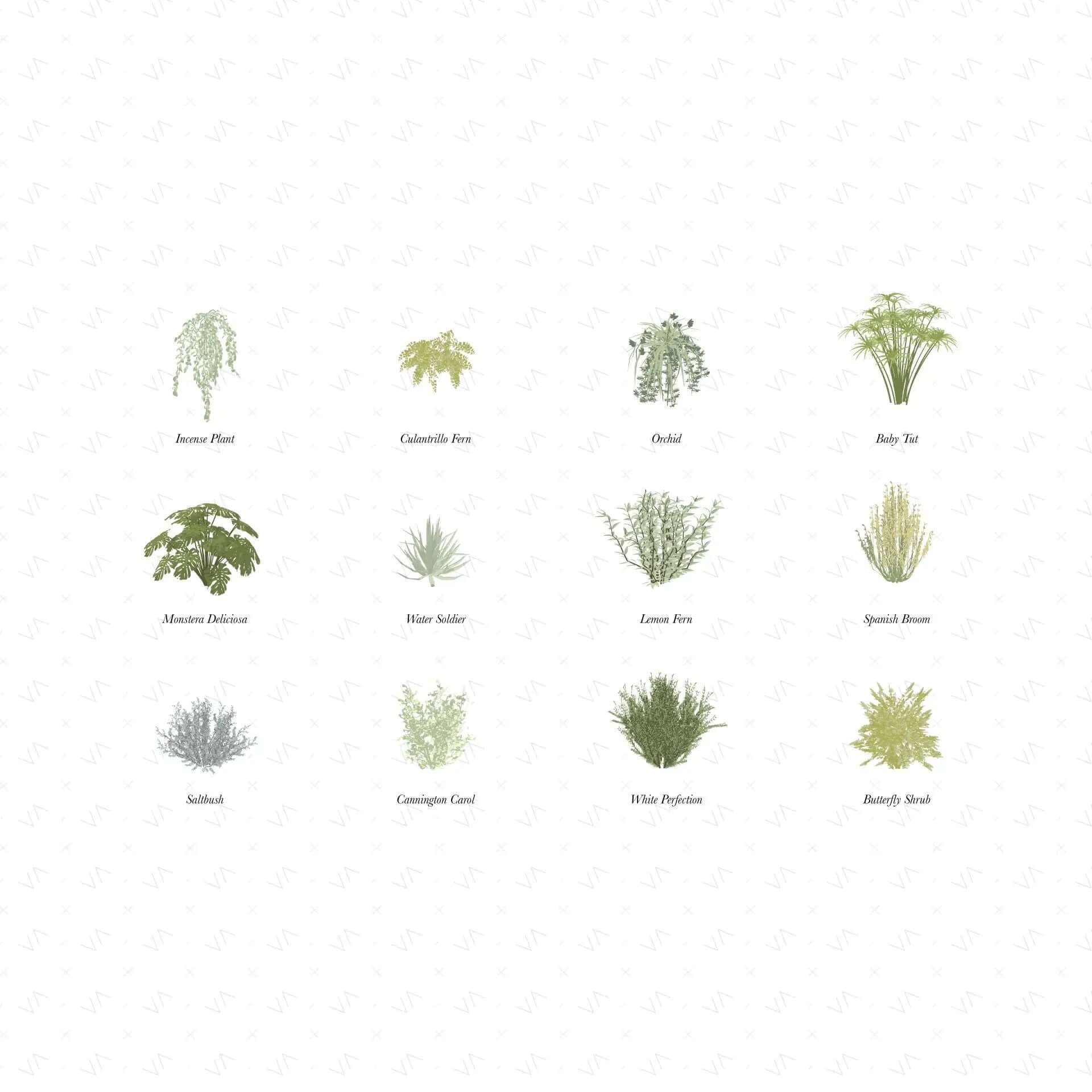Flat Vector Shrubs Vegetation Digital Artwork drawings | Toffu Co