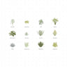 Flat Vector Shrubs Vegetation Digital Artwork drawings | Toffu Co