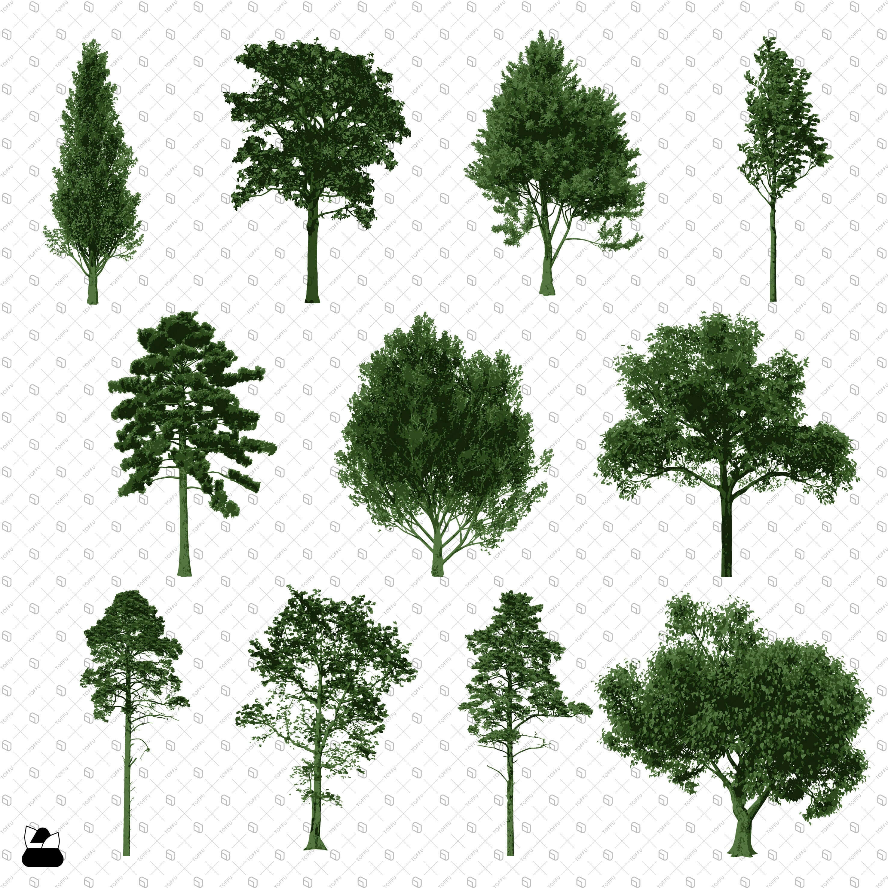 Flat Vector Tree Elevations Digital Artwork drawings | Toffu Co