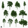 Flat Vector Tree Elevations Digital Artwork drawings | Toffu Co