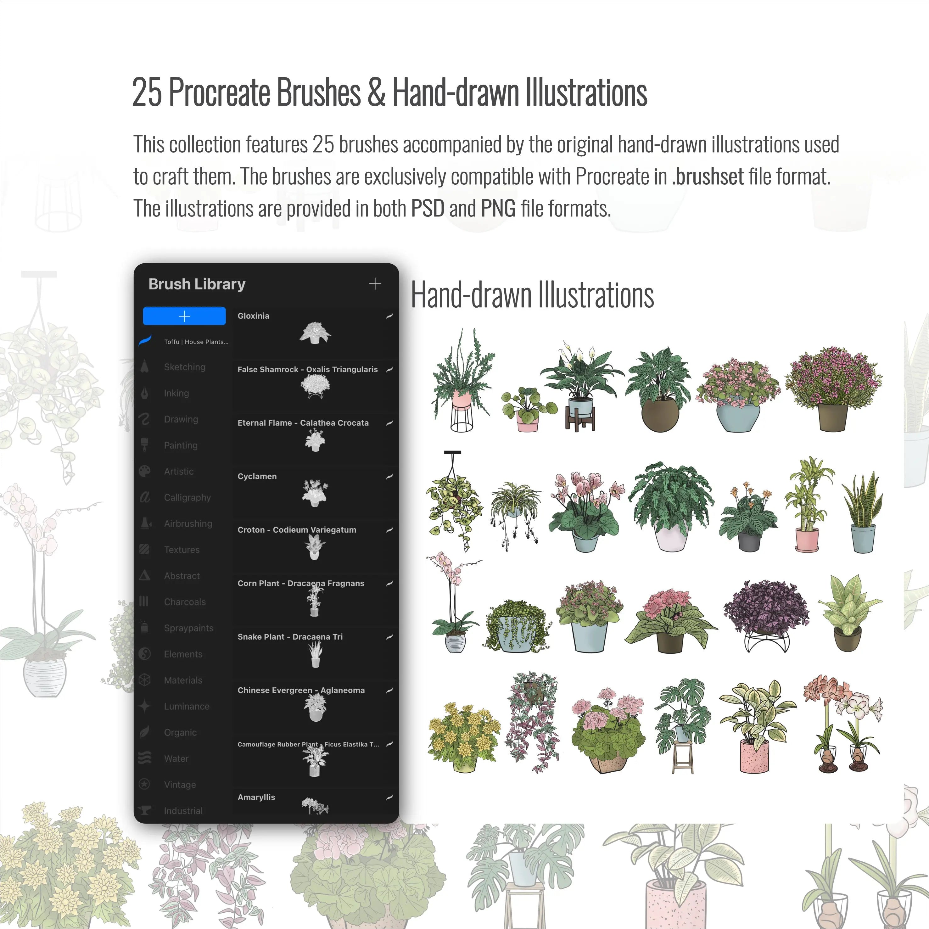 Procreate House Plants Brushset & Illustrations Digital Artwork drawings | Toffu Co