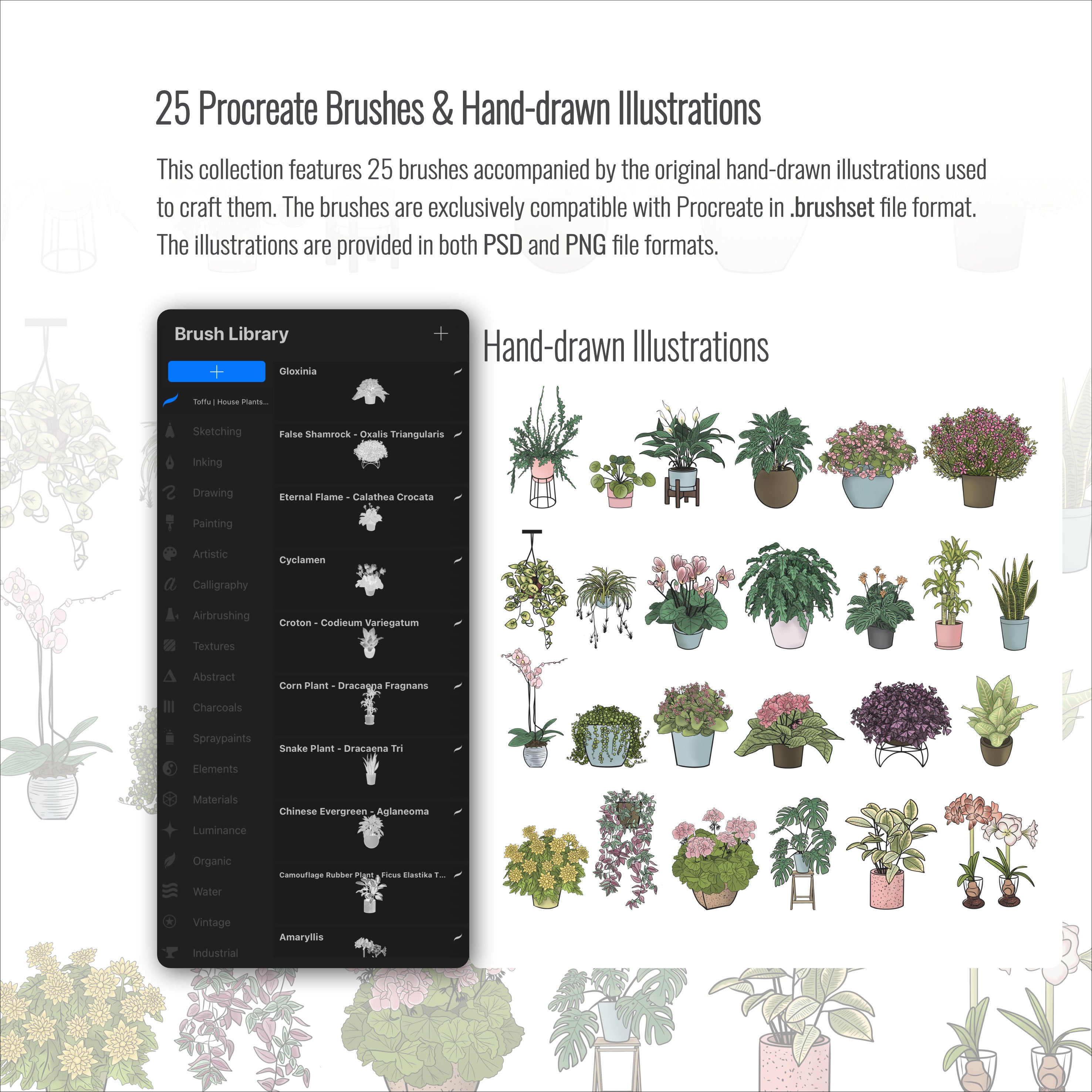 Procreate House Plants Brushset & Illustrations PNG - Toffu Co
