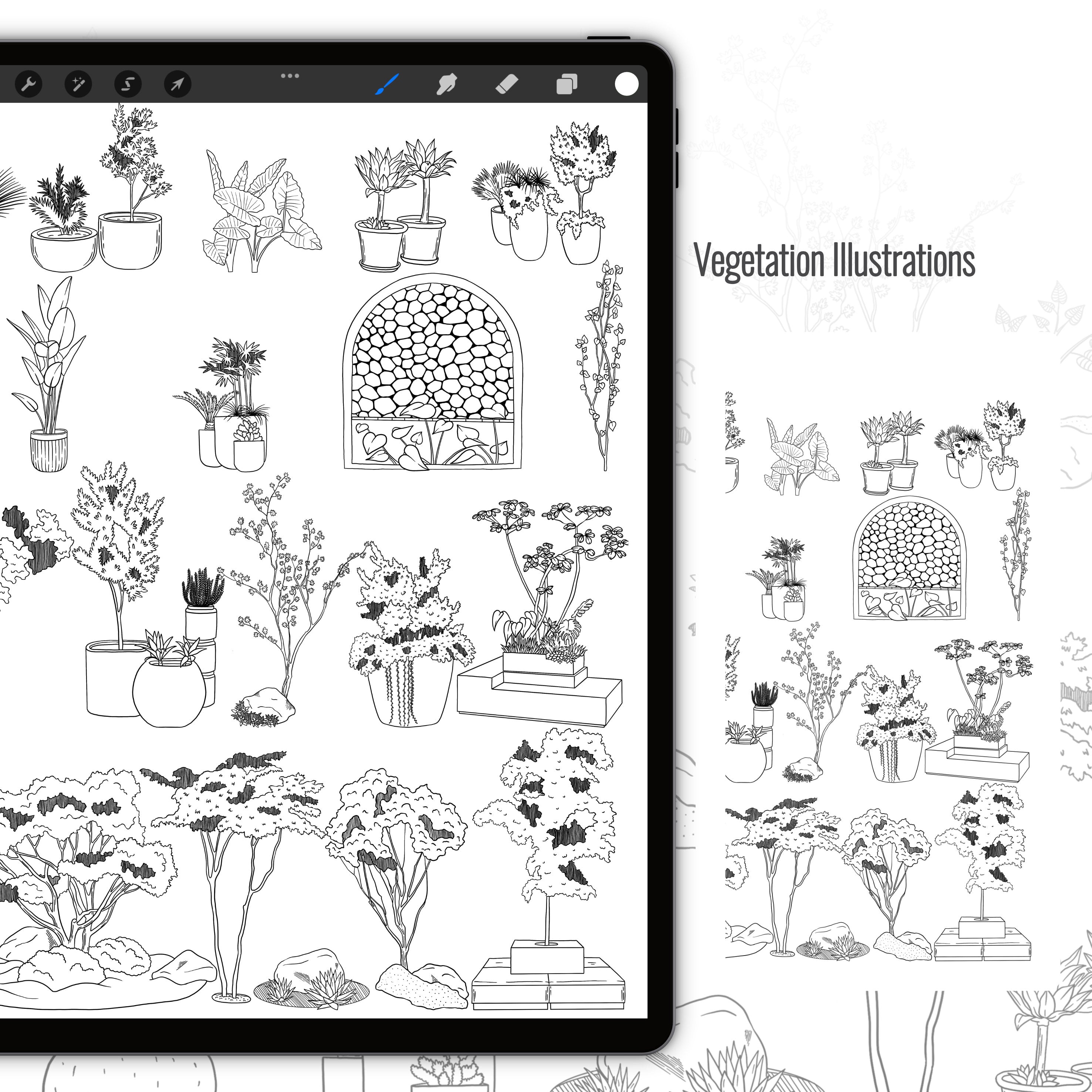 Procreate Landscape Sketching Brushset & Illustrations PNG - Toffu Co