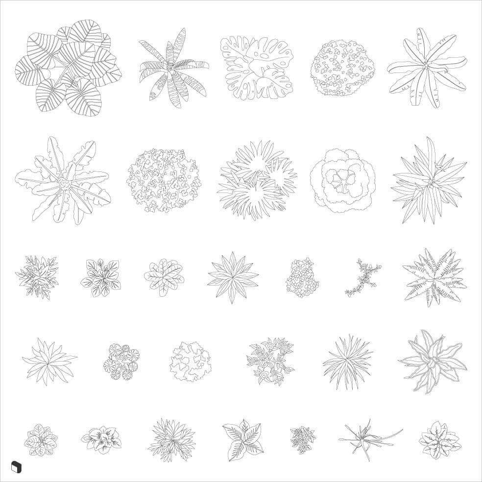 Cad Diverse Plants Top View Digital Artwork drawings | Toffu Co