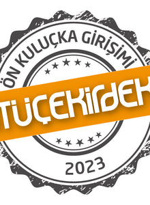 itü-cekirdek-logo