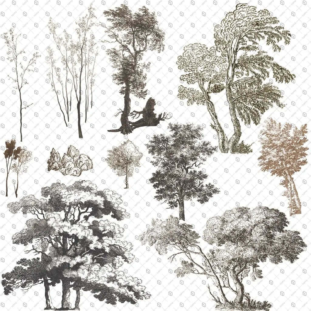 Cutout Trees From Illustration 3 Digital Artwork drawings | Toffu Co