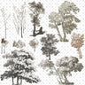 Cutout Trees From Illustration 3 Digital Artwork drawings | Toffu Co