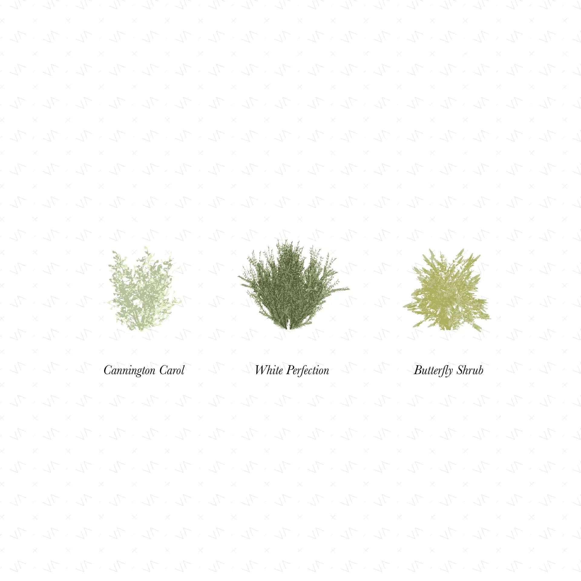 Flat Vector Shrubs Vegetation Digital Artwork drawings | Toffu Co