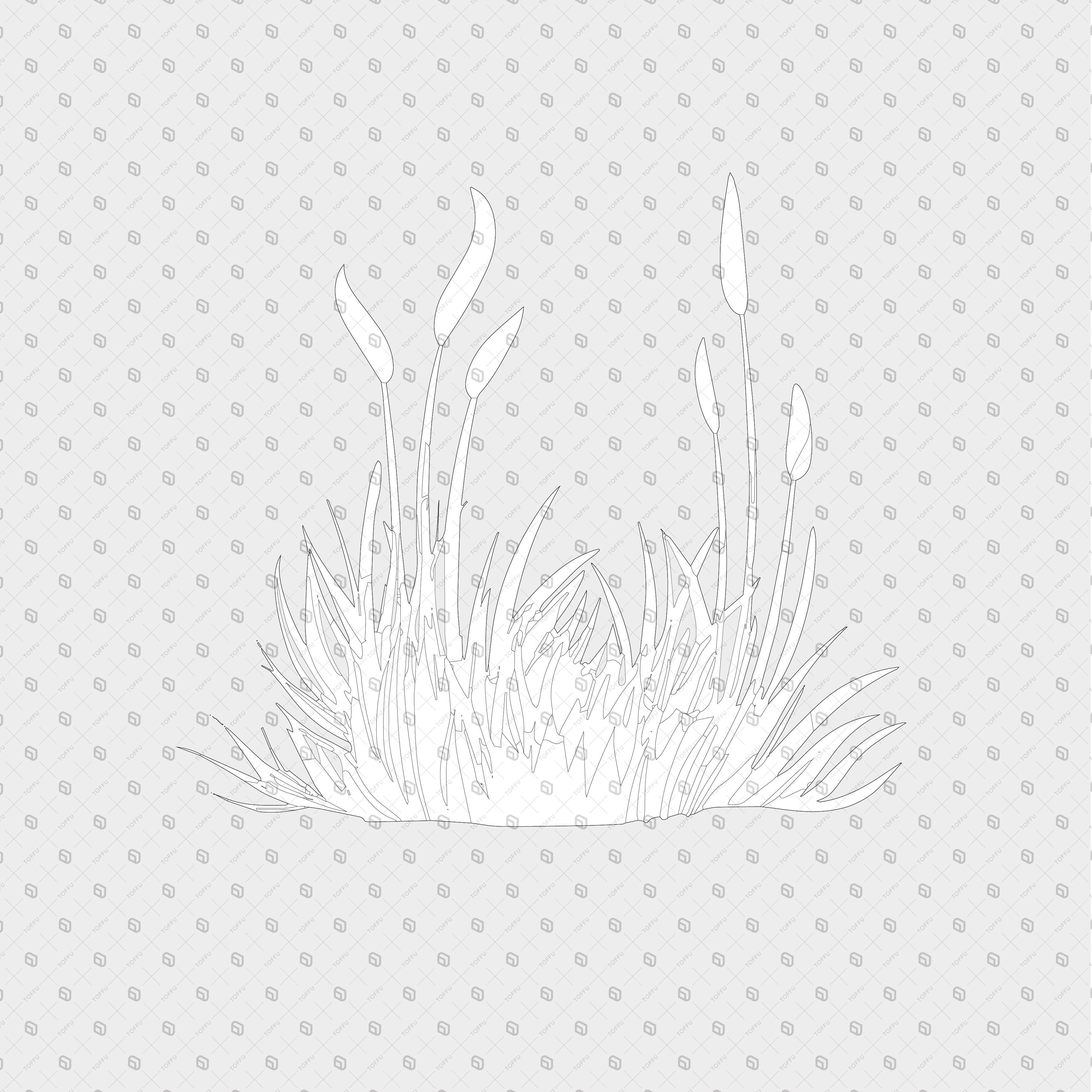 Cad Vegetation Plants and Grass PNG - Toffu Co