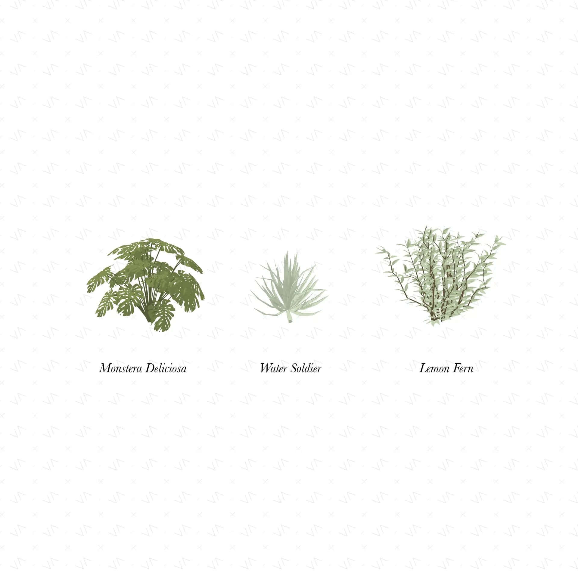 Flat Vector Shrubs Vegetation Digital Artwork drawings | Toffu Co