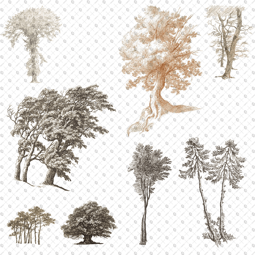 Cutout Trees From Illustration 4 Digital Artwork drawings | Toffu Co