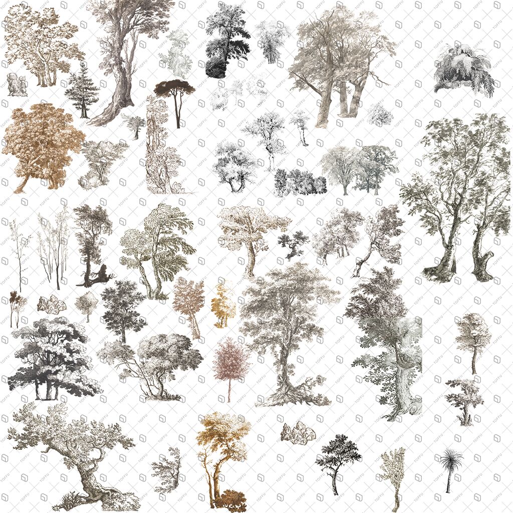 Cutout Trees From Illustration 3 PNG - Toffu Co