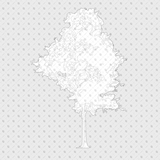 Cad Trees Elevation With Roots – Toffu Co