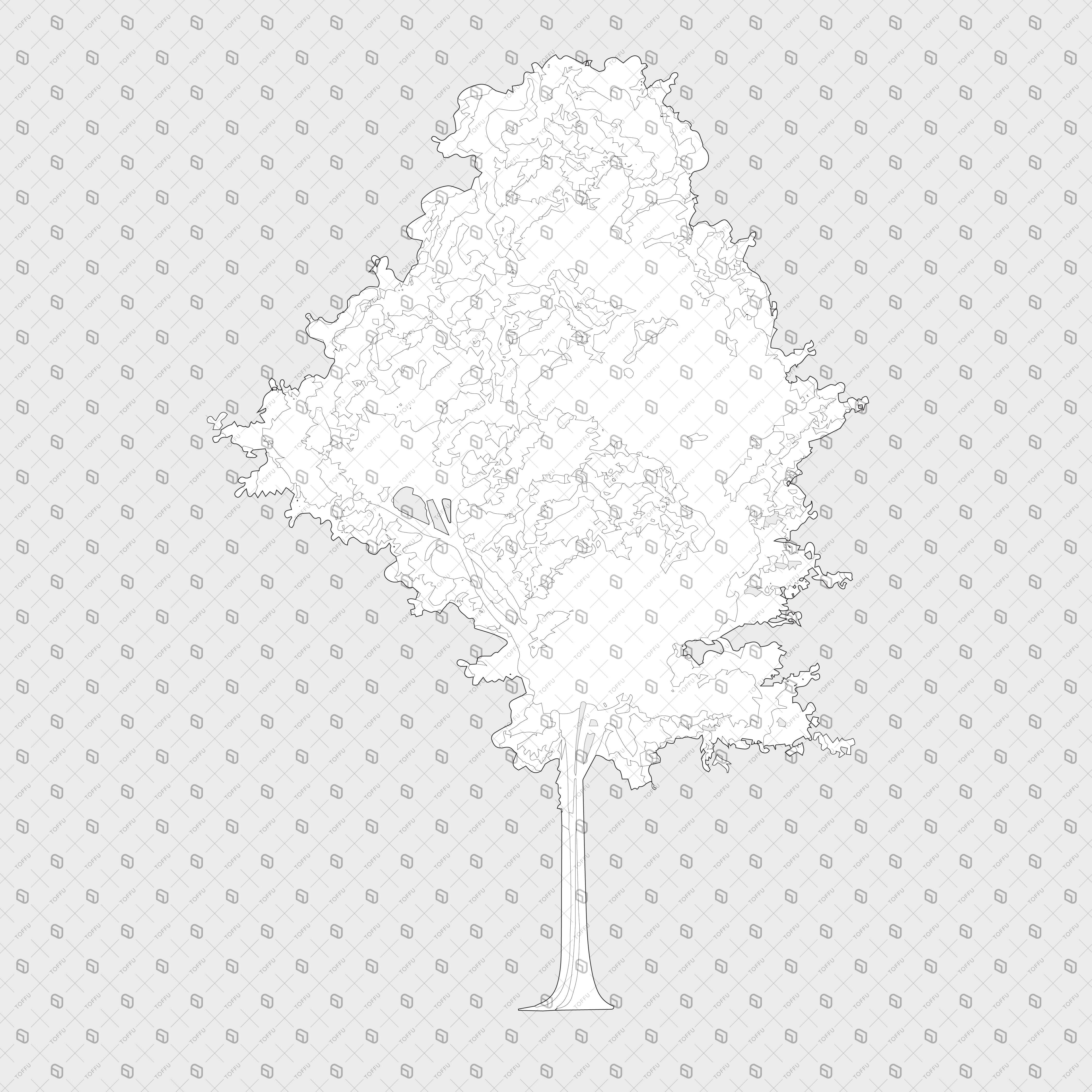 Cad Trees Elevation With Roots PNG - Toffu Co