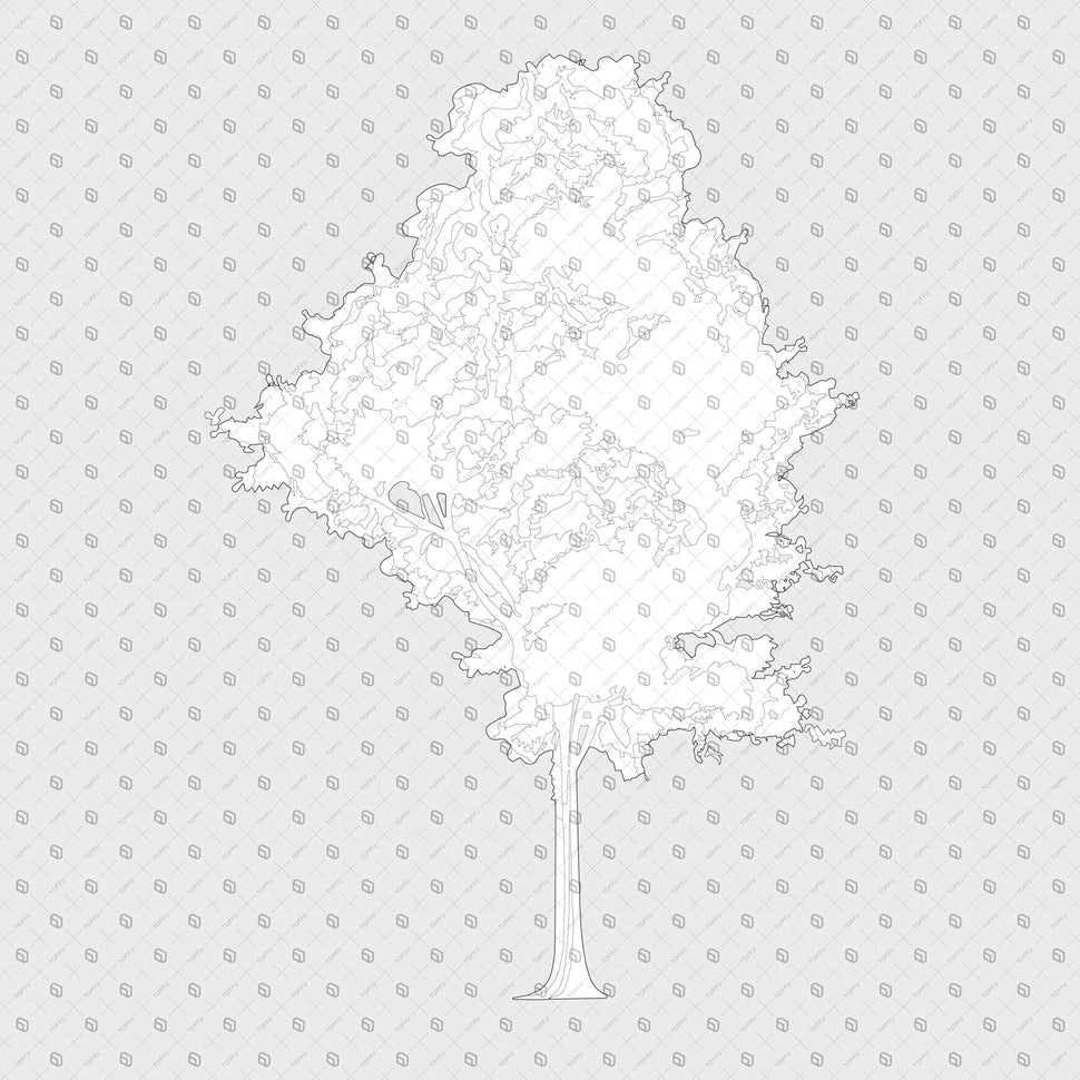 Cad Trees Elevation With Roots – Toffu Co