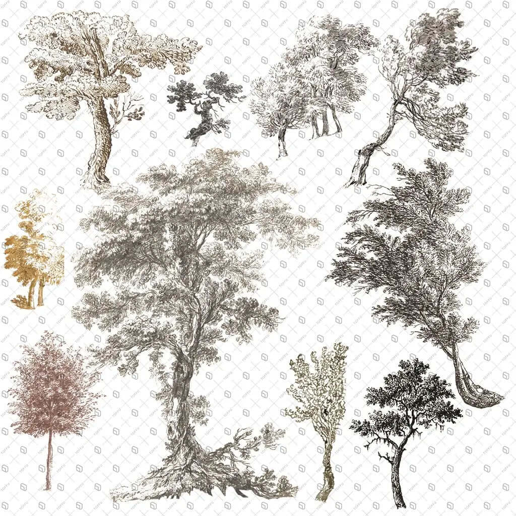 Cutout Trees From Illustration 3 Digital Artwork drawings | Toffu Co