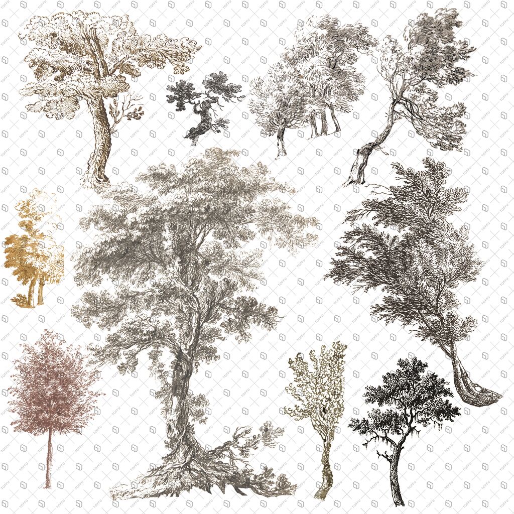 Cutout Trees From Illustration 3 PNG - Toffu Co