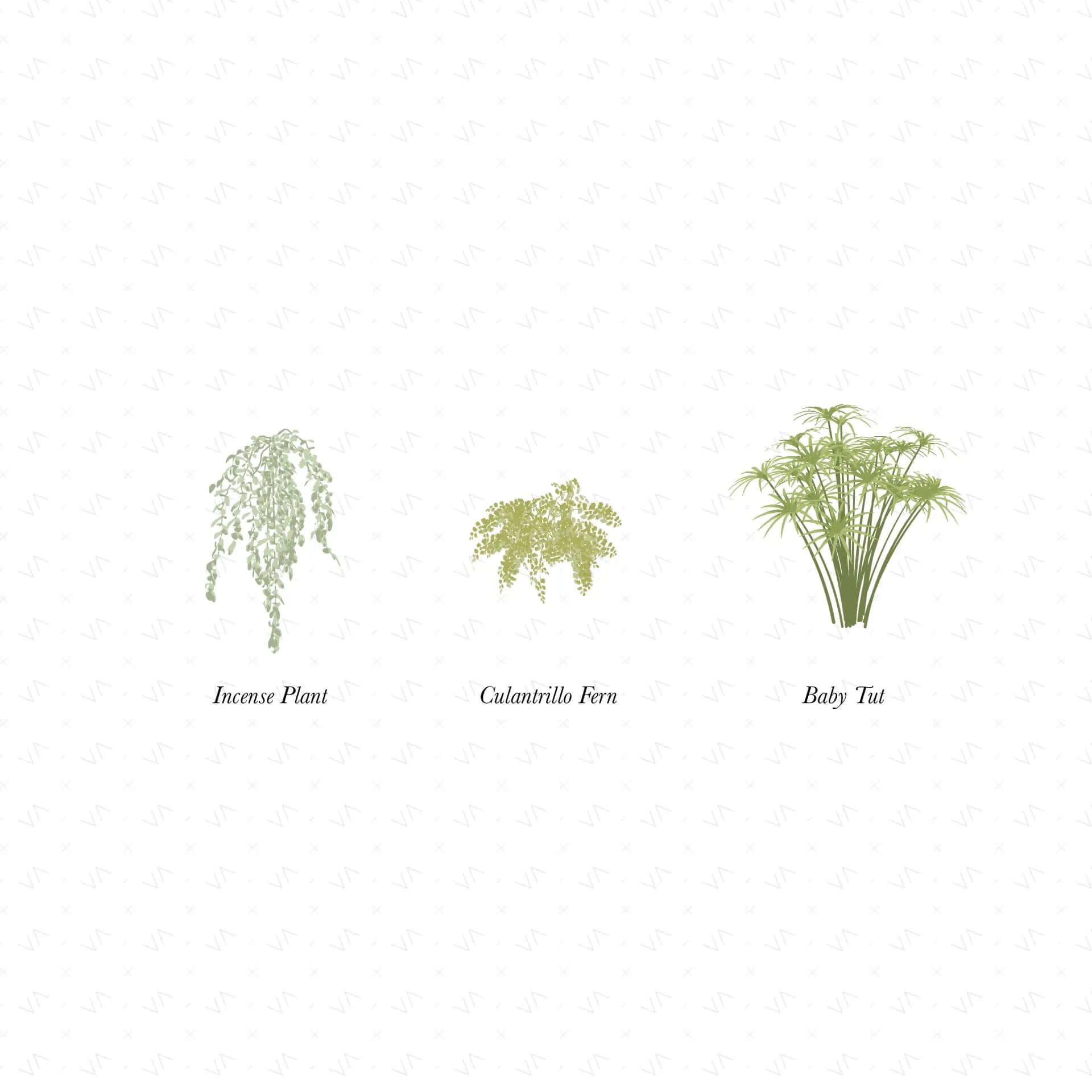 Flat Vector Shrubs Vegetation Digital Artwork drawings | Toffu Co