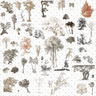 Cutout Trees From Illustration 4 Digital Artwork drawings | Toffu Co