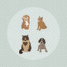 Illustration Pets Pack Digital Artwork drawings | Toffu Co