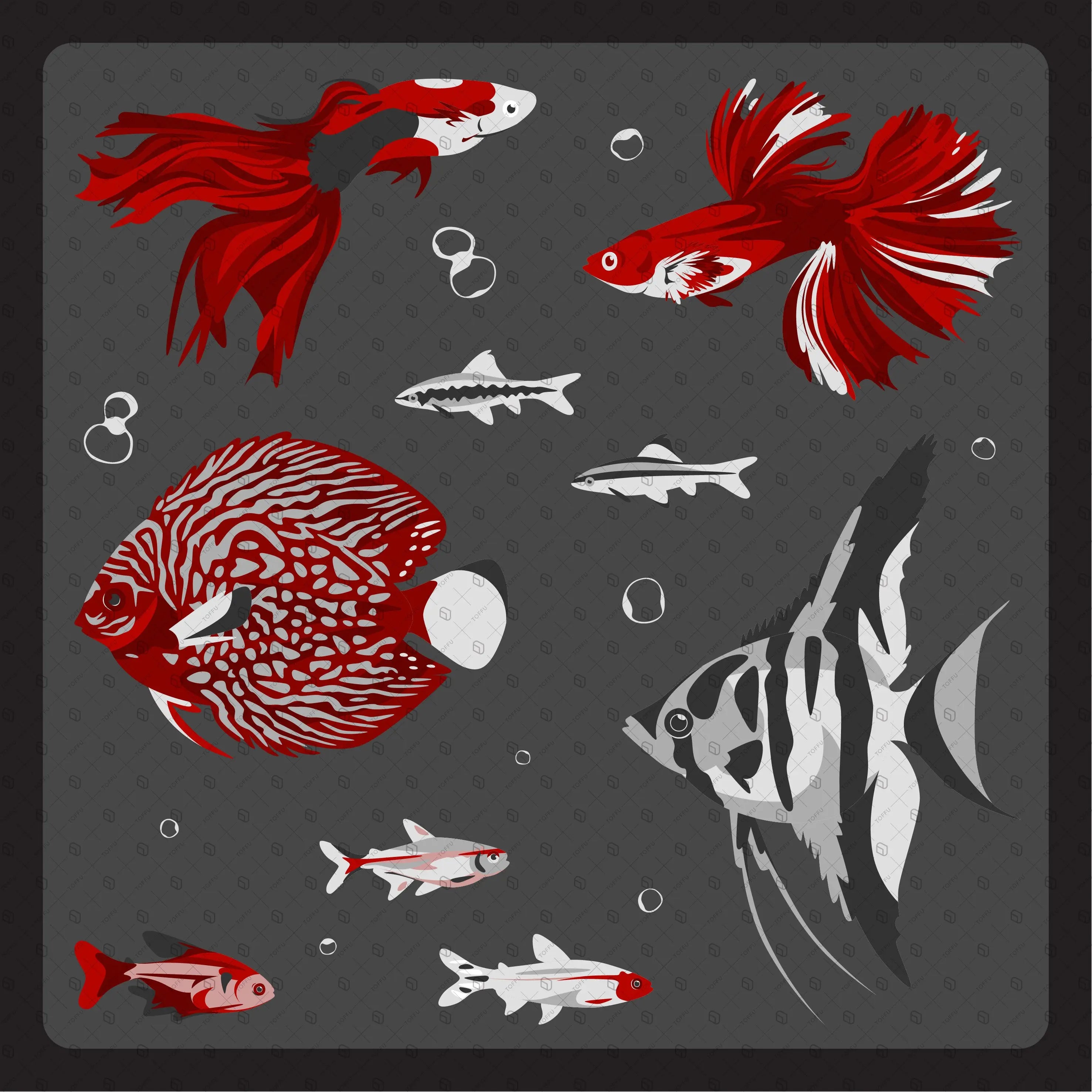 Flat Vector Freshwater Fish Digital Artwork drawings | Toffu Co
