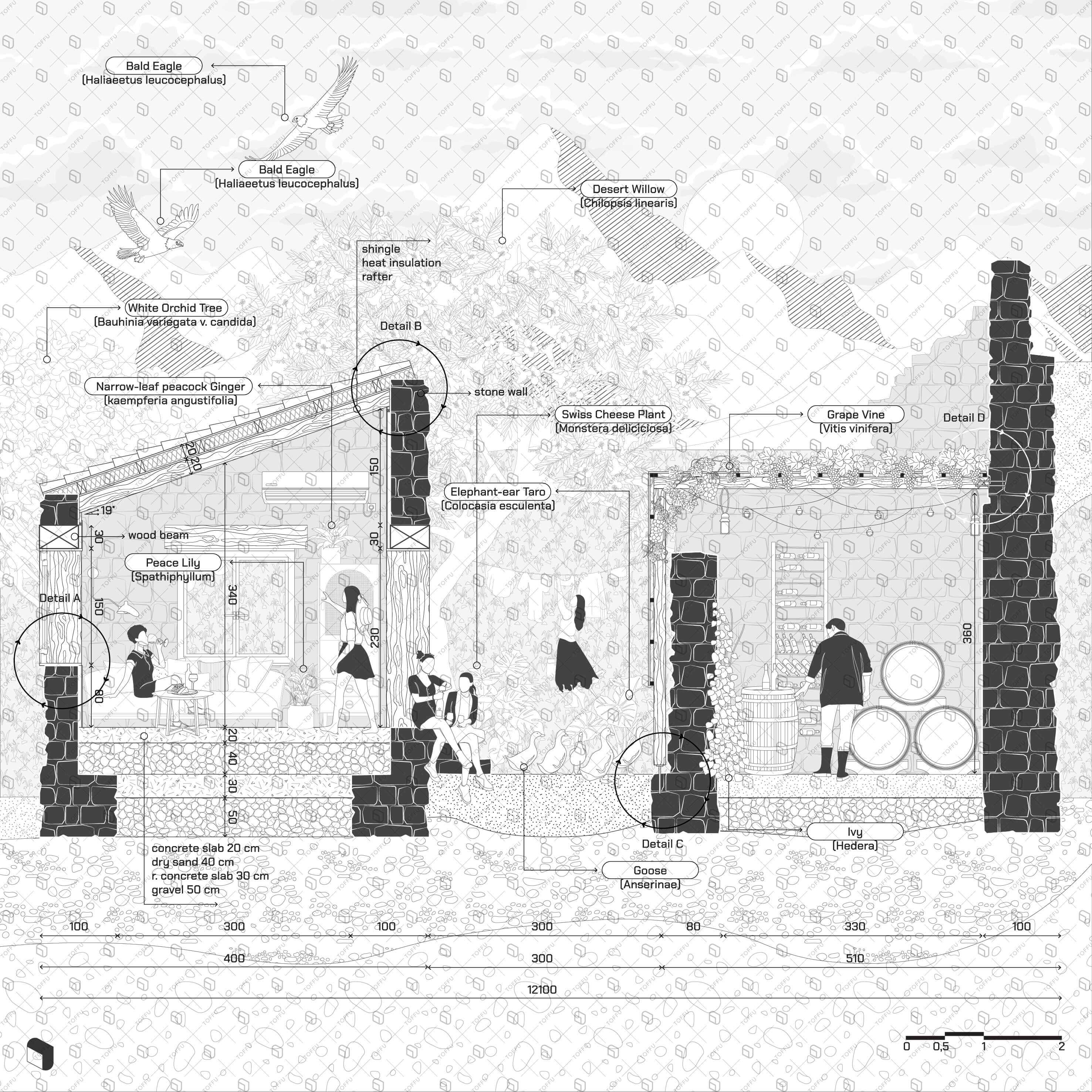 Flat Vector Stone House Detailed Section Digital Artwork drawings | Toffu Co