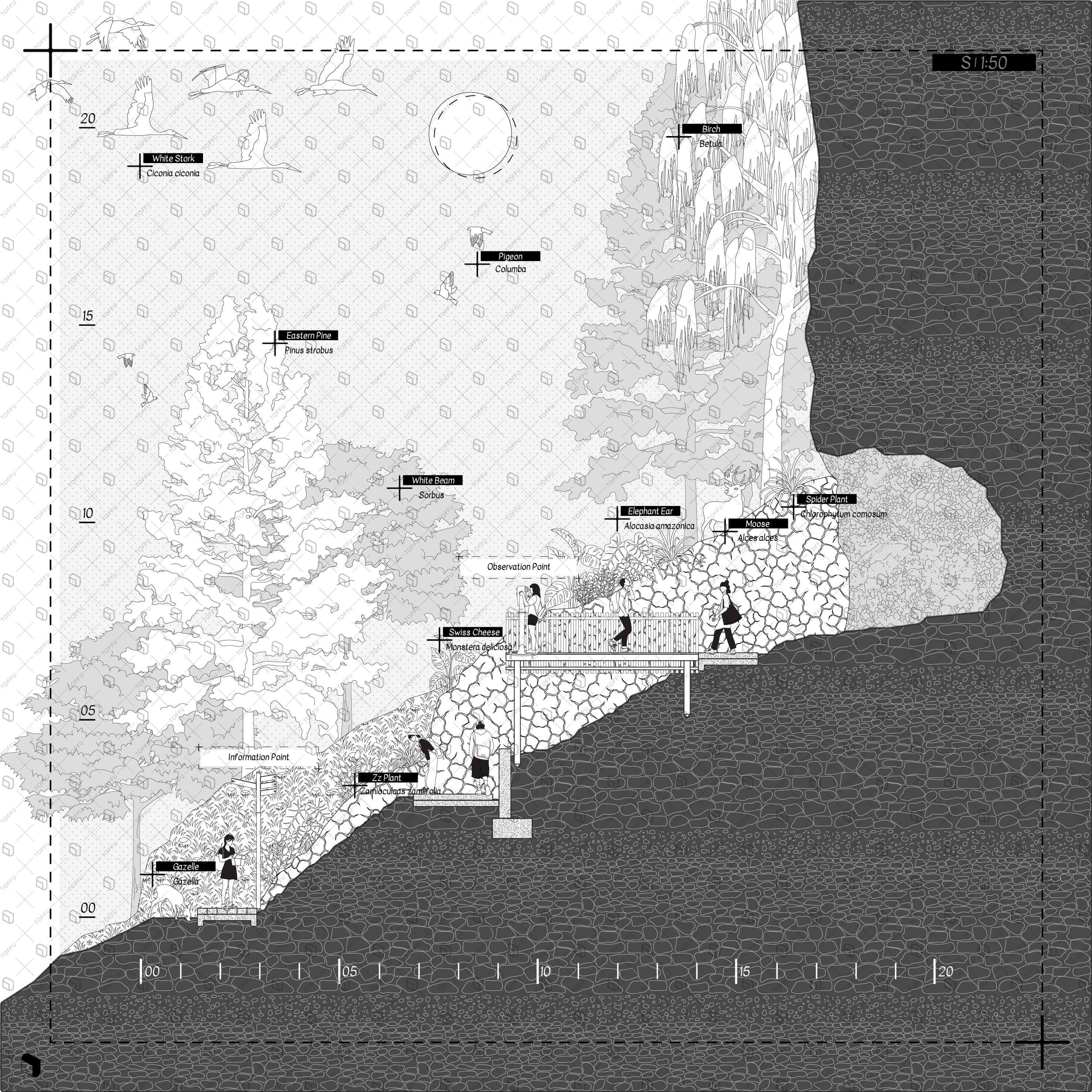Flat Vector National Park Detailed Section Digital Artwork drawings | Toffu Co
