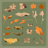 Flat Vector Dry Leaves Digital Artwork drawings | Toffu Co