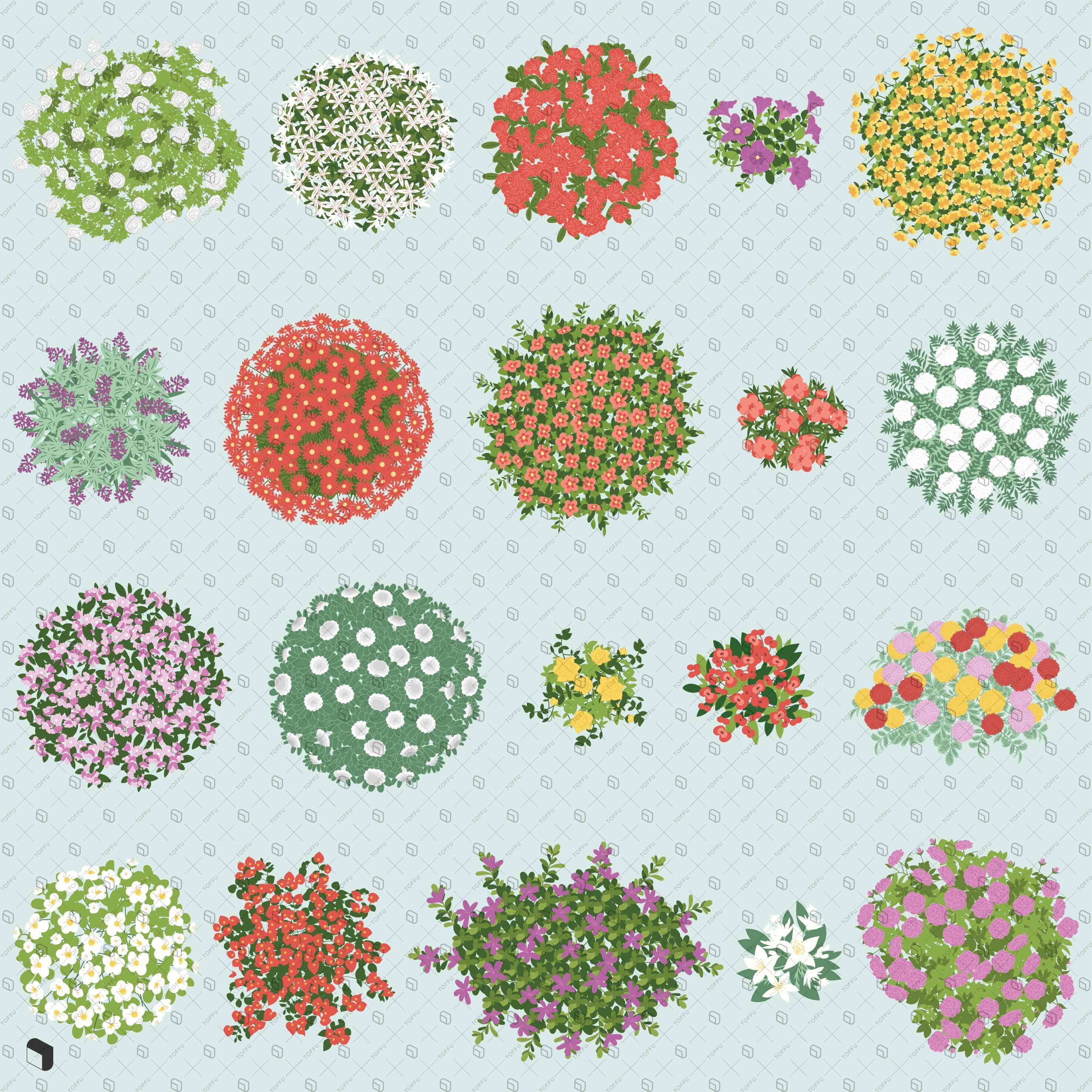 Flat Vector Flowering Plants Top View Digital Artwork drawings | Toffu Co