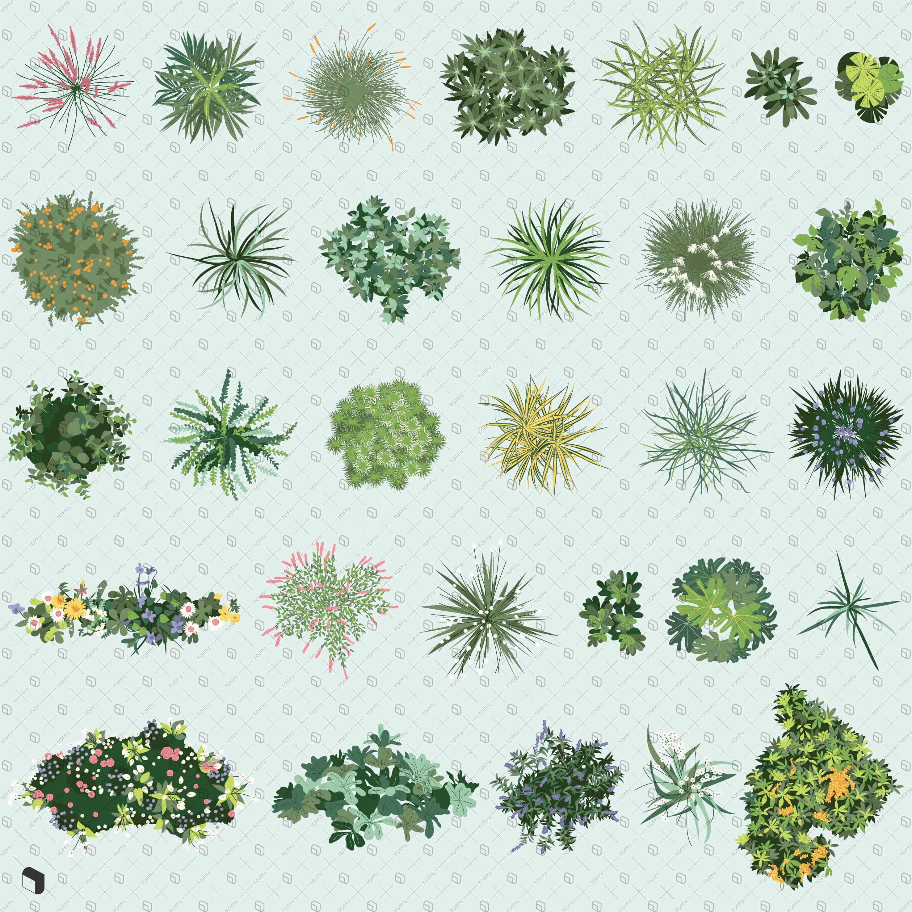 Flat Vector Wild Plants Top View Digital Artwork drawings | Toffu Co