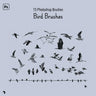Photoshop Brush Birds Digital Artwork drawings | Toffu Co