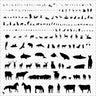 Cad Animal Silhouettes Digital Artwork drawings | Toffu Co