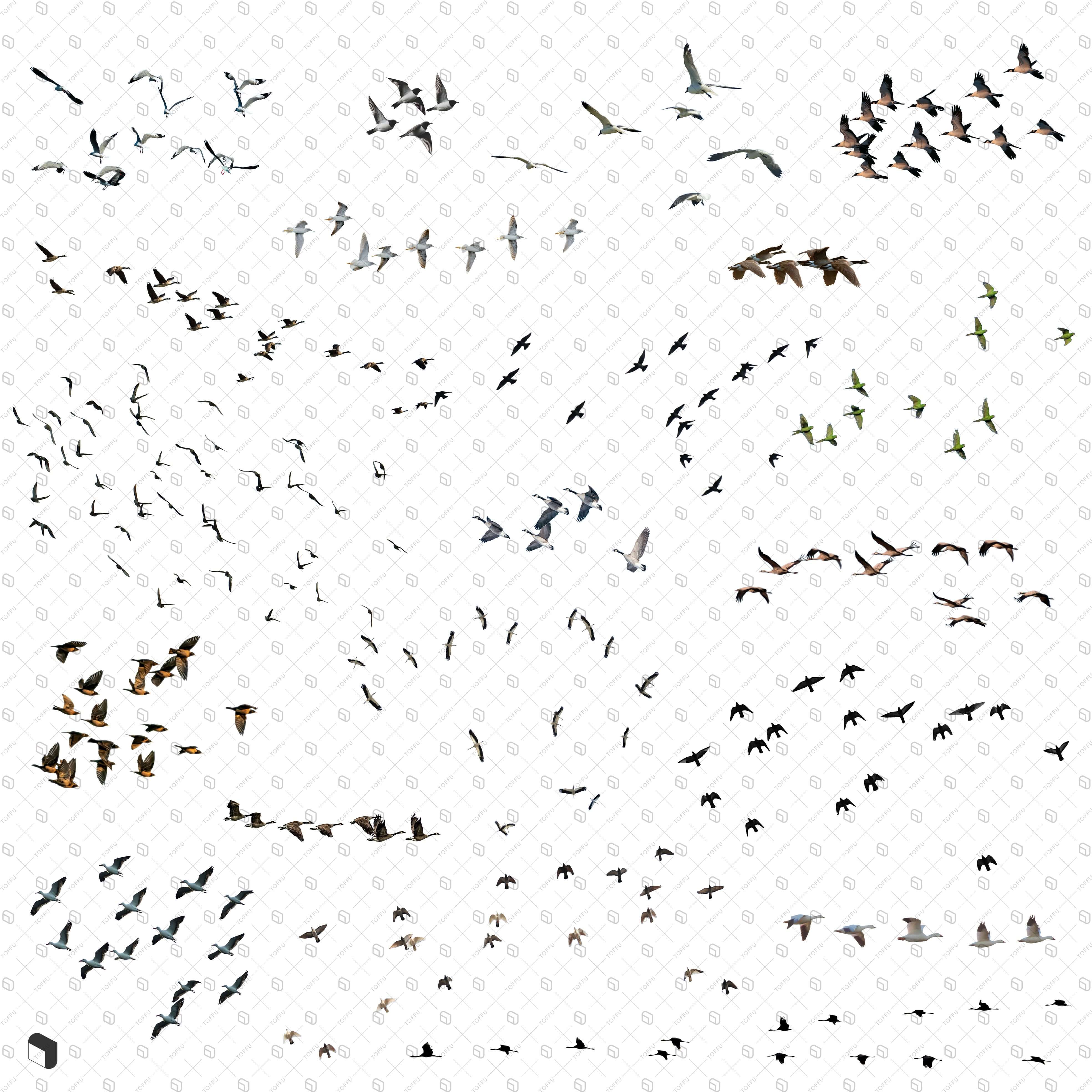 Cutout Birds 2 Digital Artwork drawings | Toffu Co