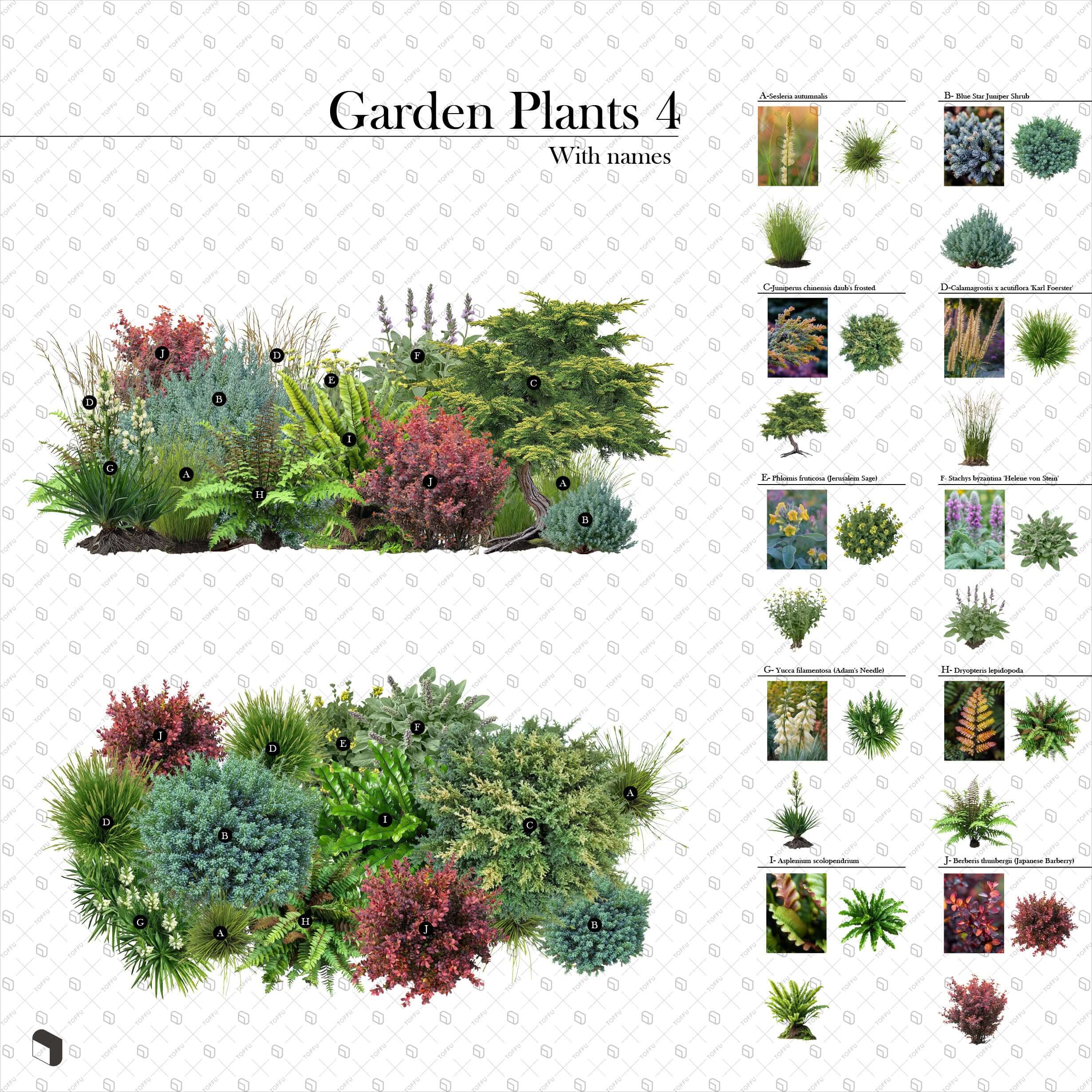 Cutout Garden Plants With Names 4 Digital Artwork drawings | Toffu Co
