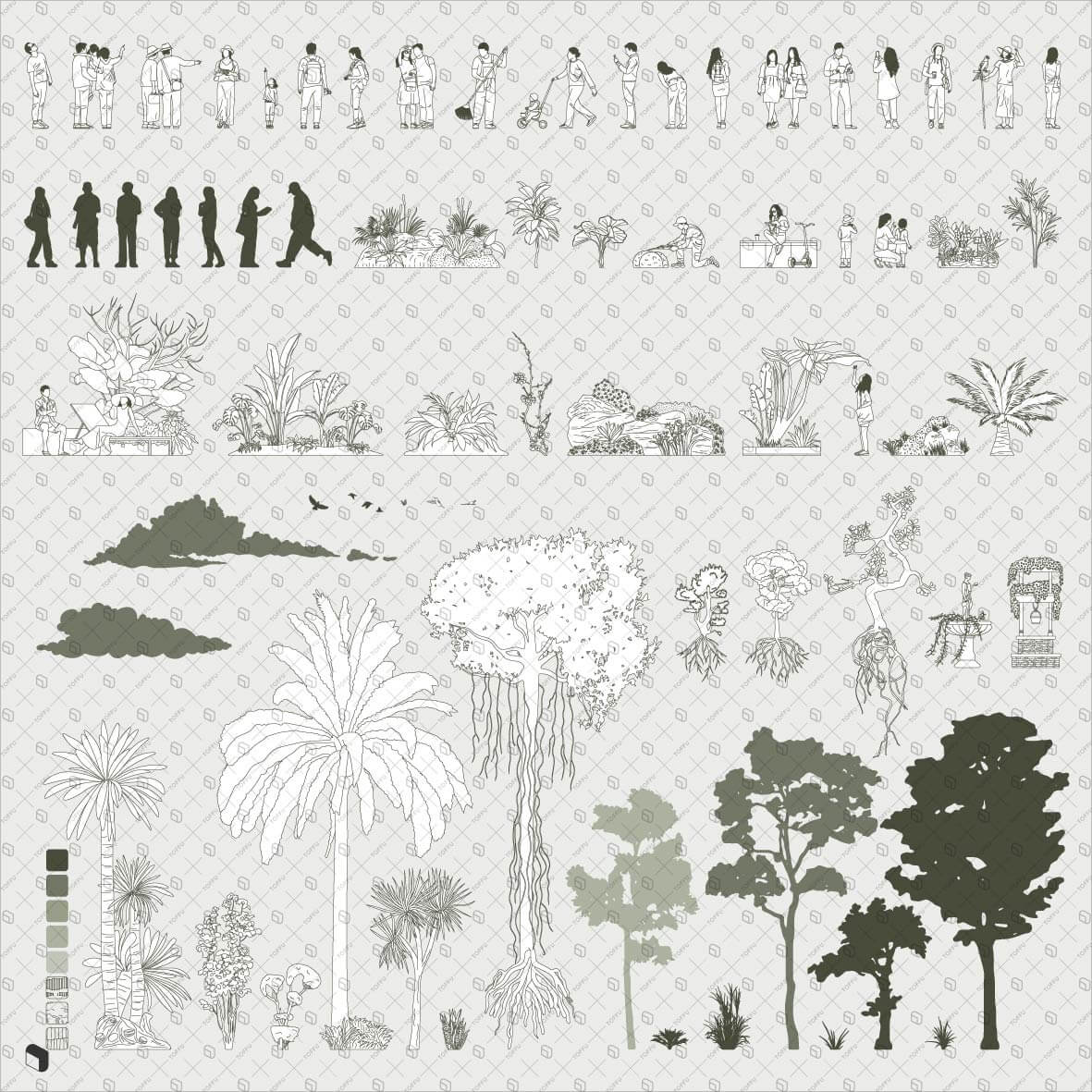 Cad Botanical Garden Section Creator Bundle Digital Artwork drawings | Toffu Co